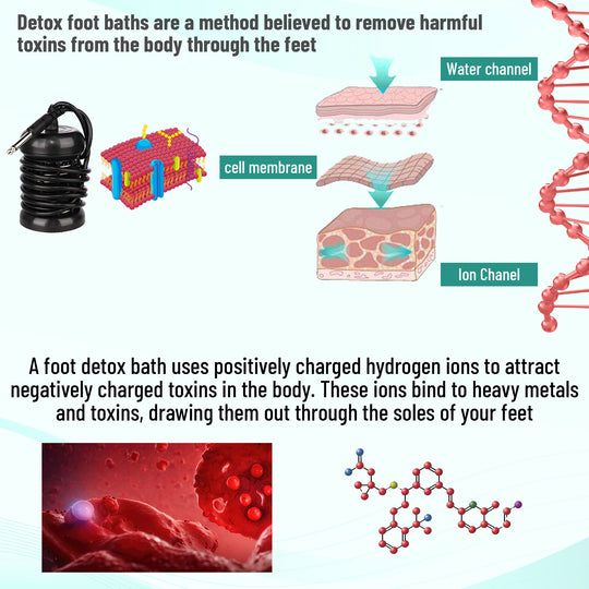 Hydrogen Water Bottle, Hydrogen Water Generator, Portable Hydrogen Generator, Rapid Electrolysis in 3 Minutes