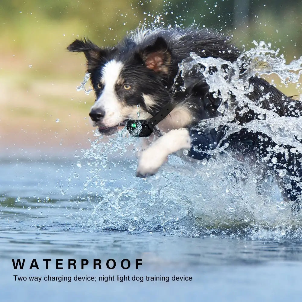 Dog Shock Training Collar Rechargeable Remote Control Waterproof Dog Shock Training Collar Rechargeable Remote Control Waterproof