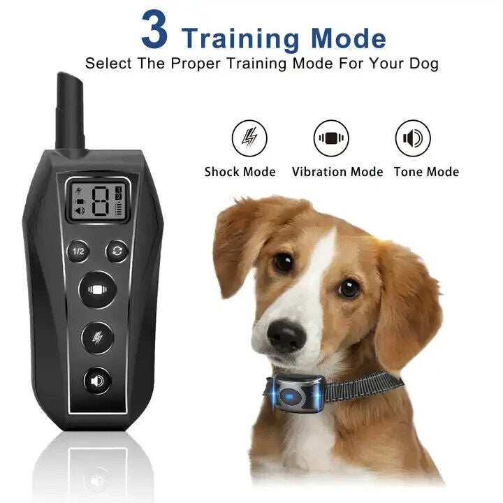 650-Yard Waterproof Remote Dog Training Shock Collar – For Small, Medium & Large Dogs